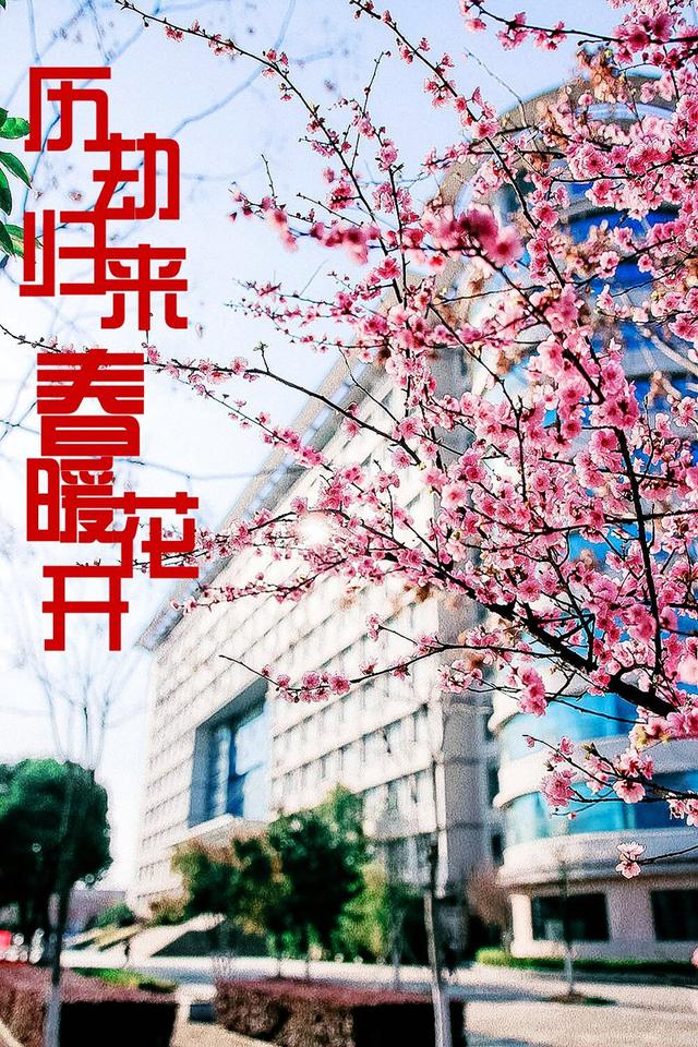 九百万个春天,因为有你终将绽放